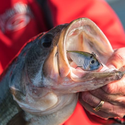 Strike King Red Eyed Shad Fishing Lure - Image 3