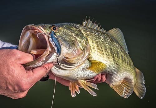 Berkley Warpig Fishing Hard Bait - Image 6