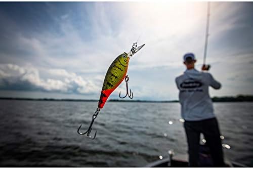 Berkley Flicker Shad Fishing Lure, Firetail Ghost Glitter, 1/2 oz, 3 1/2in | 9cm Crankbaits, Size, Profile and Dive Depth Imitates Real Shad, Equipped with Fusion19 Hook - Image 5