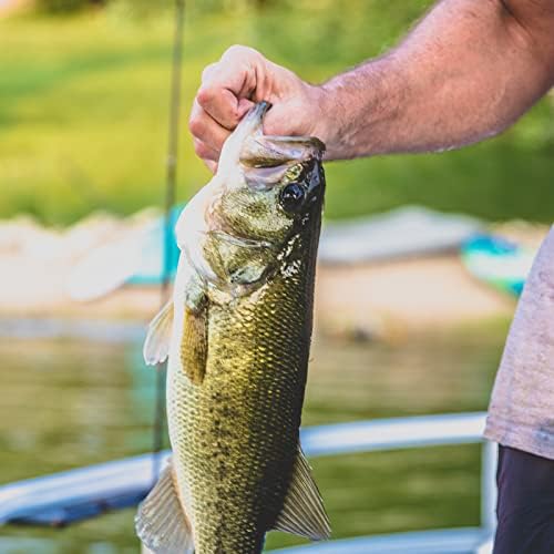 MadBite by KastKing Ned Rig Jig Heads for Soft Fishing Lure Kits - Image 6