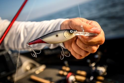 Berkley Flicker Shad Fishing Lure, Firetail Chrome Candy, 5/16 oz, 2 3/4in | 7cm Crankbaits, Size, Profile and Dive Depth Imitates Real Shad, Equipped with Fusion19 Hook - Image 3
