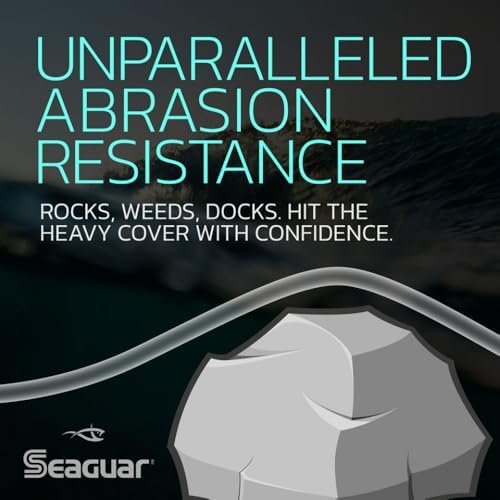 SeaguarFluorocarbon Fishing Line - Image 3
