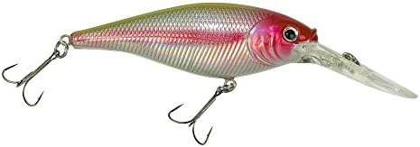 Berkley Flicker Shad Fishing Lure, Chrome Clown, 5/16 oz, 2 3/4in | 7cm Crankbaits, Size, Profile and Dive Depth Imitates Real Shad, Equipped with Fusion19 Hook by Berkley
