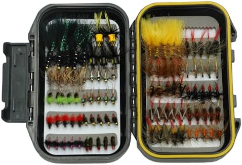 Fly Fishing Flies Kit 100 Pcs with Waterproof Floating Fly Box, Dry/Wet Flies Nymphs Streamers Popper Assortment for Trout Salmon Bass Steelhead by CTrowelpro