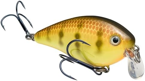 Strike King KVD 1.5 Shallow Square Bill Crankbait by StrikeKing
