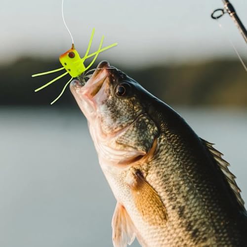 Fly Fishing Poppers Dry Flies Topwater Lures Bass Trout Kit Pro XL - Image 7