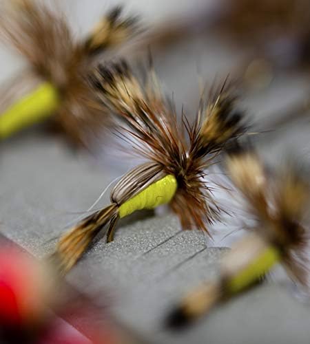 Outdoor Planet Premium Fly Fishing Flies Assortment | Waterproof Fly Box | Dry, Wet, Nymphs, Streamers, Wooly Buggers, Hopper, Caddis | Trout, Steelhead, Bass Fishing Lure Set - Image 7