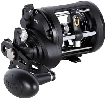 PENN Rival Level Wind Conventional Fishing Reel by Unknown