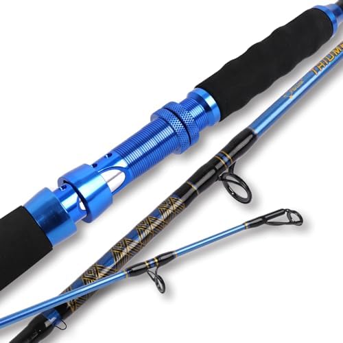Fiblink Saltwater Graphite Jig Jigging Spinning Fishing Rod Deep Sea Jig Pole 5'6"/6' by Fiblink
