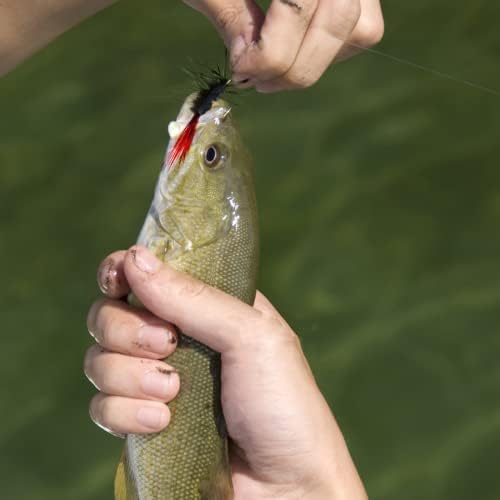 Fly Fishing Poppers, Topwater Fishing Lures Bass Crappie Bluegill Sunfish Panfish Trout Salmon Perch Steelhead Flies for Fly Fishing Bass Panfish Bluegill Trout Salmon - Image 7