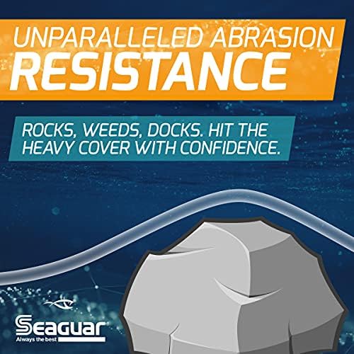Seaguar Blue Label Fishing Leader Line for Saltwater, 100% Fluorocarbon, Clear, Multiple Sizes - Image 3