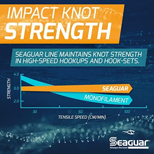 Seaguar Blue Label Fishing Leader Line for Saltwater, 100% Fluorocarbon, Clear, Multiple Sizes - Image 4