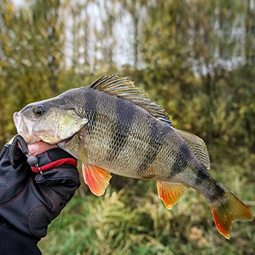 4"/5" Senko Worms Kit, Salt Impregnated Soft Plastic Lures - Image 6