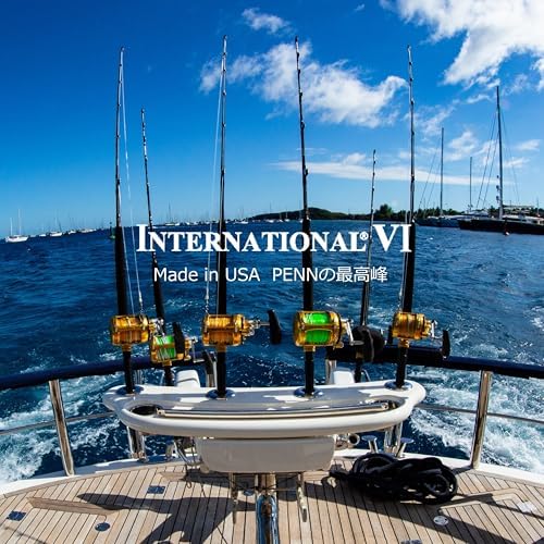 Penn International VI Conventional Fishing Reels (All Models & Sizes) - Image 2