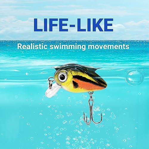5PCS Micro Crankbait Fishing Lures Set, Lifelike 3D Eyes Hard Bait with Sharp Treble Hooks, Freshwater Saltwater Lures for Bass Trout Perch Walleye Pike, Tackle Box Included - Image 4