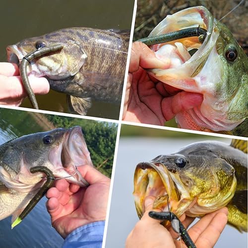 TRUSCEND Gradient Fishing Wacky Rig Tool with Silicone O Rings 210Pcs for 3"-4" and 5"-7" Fishing Worm Lures, Ultra-Smooth Downriggers Tube for Easy Installation and Great Protection of Stick Bait - Image 7