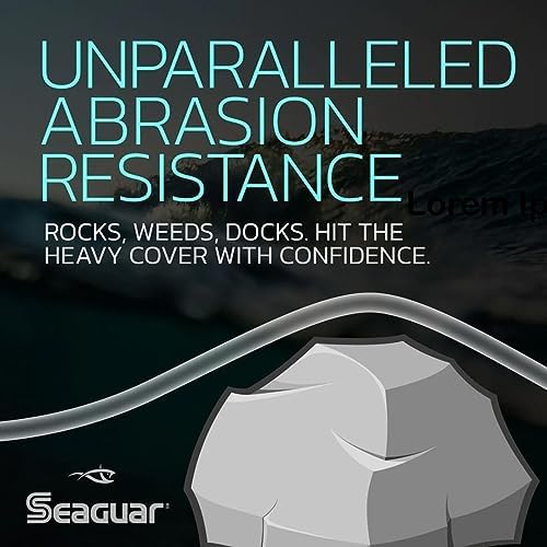 Seaguar Blue Label Fishing Leader Line for Saltwater, 100% Fluorocarbon, Clear, Multiple Sizes - Image 3