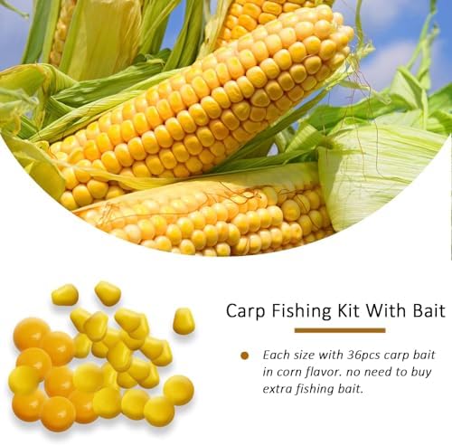 Dovesun Carp Fishing Hair Rigs Carp Fishing Equipment with Baits Hooks Accessories 41PCS/151PCS - Image 3