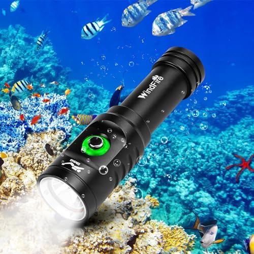 WINDFIRE TS08 Dive Light Scuba Diving Flashlight, 3 Modes, Bright, Compact by WINDFIRE
