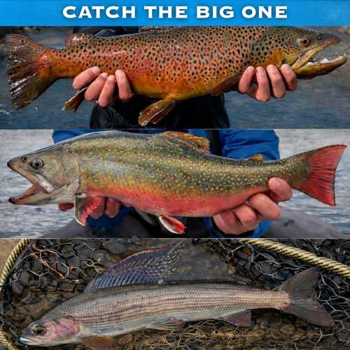 Hares Ear Nymph Fly 12 Pack - Size 14-18 Wet Fly Fishing Accessories, Trout Flies, Assortment Box and Tools, Flies for Fishing for Bass and Panfish, Nymphs - Image 6