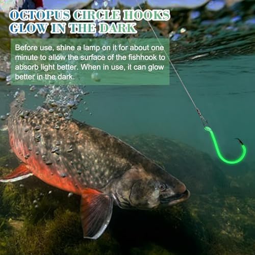 Fishing Egg Sinker with Soft Plastic Core Weight Rigs 5pcs Flounder Rig Saltwater,176.37lb Fishing Wire Leader with Egg Sinker Swivels Snap, Grouper Bottom Fishing Rigs - Image 6