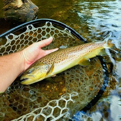 Aventik Fly Floating Fishing Net Carbon Fiber Landing Trout Net Light Weight Clear Rubber Ghost Net Catch & Release - Image 5