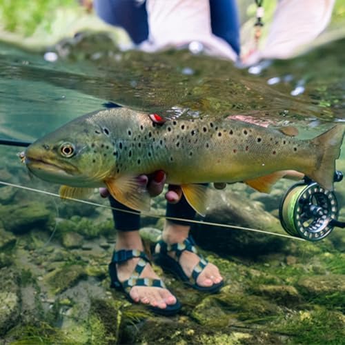 RIO Products Mainstream Trout DT Fly Line - Developed for the Average Fly Fishermen - Easy Casting and Smooth Design - Floating Freshwater Line - Image 4