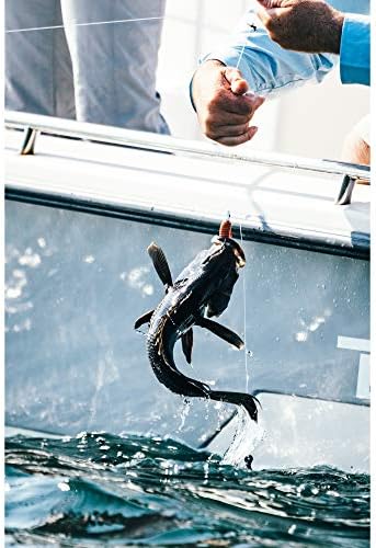Berkley Gulp! Grub Saltwater Fishing Soft Bait - Image 5