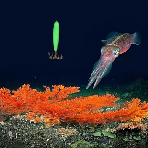 Squid Jig 12g Glow in The Dark - 5PCS Saltwater Fishing Lures with 12 Stainless Steel Needles, Luminous Cuttlefish Bait Hooks for Night Sea Fishing, Green - Image 4
