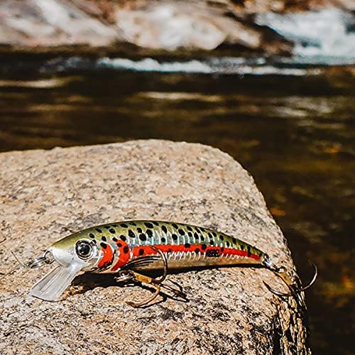 Rebel Lures Pop-R Topwater Popper Fishing Lure - Image 2