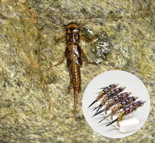 Pack of 10 Nymph stonefly Fly Flies Trout Fishing Artificial Insect Fishing Bait Lure - Image 2