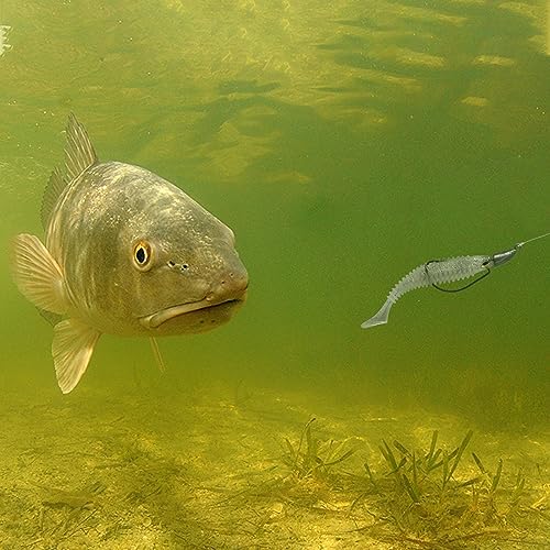 MAFIMOEA Bullet Jig Heads Weighted Texas Rig Hooks Swimbait Hooks Bass Crappie Walleye Trout Fishing Weedless Swimbait Jig Heads Saltwater Freshwater - Image 5