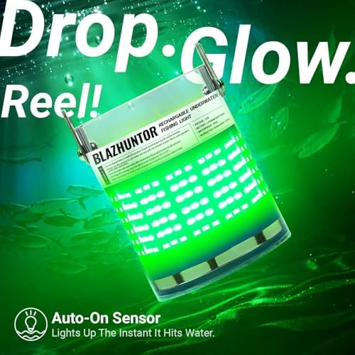 Rechargeable Underwater Fishing Light, 40W-160W, 4 Colors - Image 2
