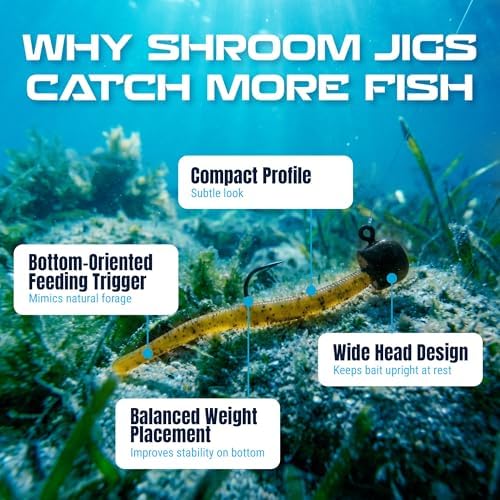 Reaction Tackle Mushroom Jig Heads for Ned Rig Finesse Bass Fishing, Stand-Up Design with Standard and EWG Hook Options (25-Pack) - Image 3
