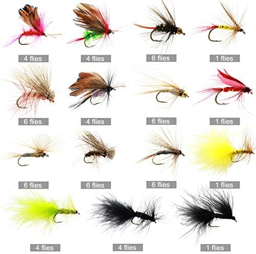 Croch 60pcs Fly Fishing Dry Flies Wet Flies Assortment Kit with Waterproof Fly Box for Trout Fishing - Image 2