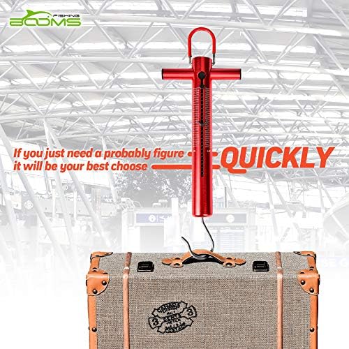 Booms Fishing TS1 Aluminum Tube Spring & Hook Scale 50LB/22KG - Image 3