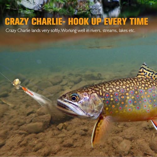 Dovesun Fly Fishing Trout Lures with Fishing Spinner 5PCS/10PCS - Image 3