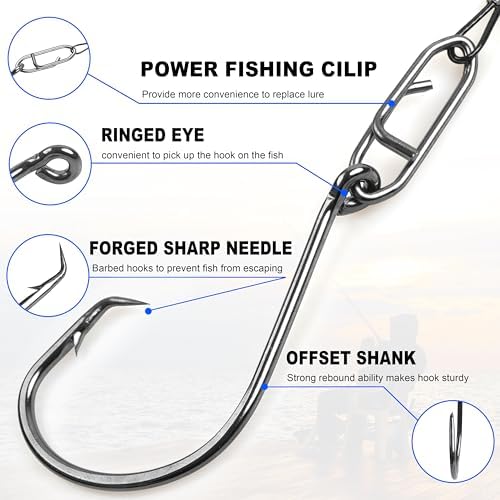Catfish Rigs Demon Dragon Catfish Float Rigs Catfishing Rattling Line Float Lure Blank Spook Rattle Float with Circle Hooks 8/0 for Santee Cooper Rig Catfishing Tackle - Image 5