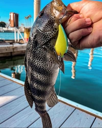 Arbogast Hula Popper Topwater Bass Fishing Lure - Image 3