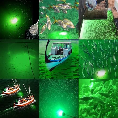 SAMDO IP68 12V LED Underwater Fishing Light 1080 Lumens Fish Attracting Light, Night Fishing Light 10.8W - Image 4