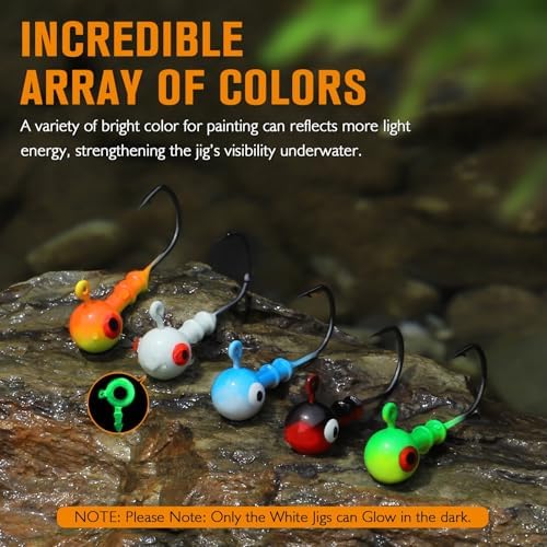 Dovesun Jig Heads for Fishing Walleye Jigs Glowing Fishing Jigs with 3D Eye - Image 3