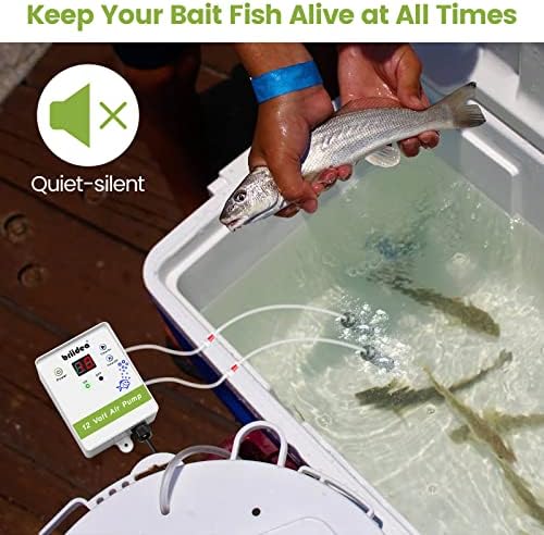 Aerator for Bait Bucket, Briidea 12 Volt Livewell Aerator Pump System with Timing Cycle Function, Dual Outlet, Designed for Use in Fresh and Salt Water to Keep Your Bait Fish Alive - Image 6