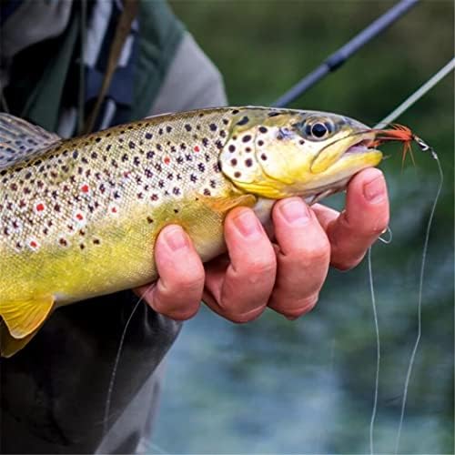 24Pcs Fly Fishing Flies Trout Lures Fishing Tackle Fly Fishing Flies with Boxed Trout Bass Artificial Fish Bait - Image 6