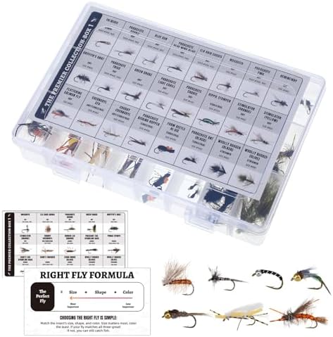 122 Pcs/ 40 Pcs Hand Tied Fly Fishing Flies Assortment with 2 Fly Boxes ID Learn Cards, Dry, Wet, Streamers, Wooly Bugger, Terrestrial Trout Bass Lure for Fishing Lover Gift by Unknown