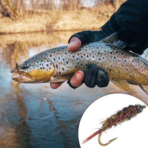10 Pcs Fly Fishing Flies Kit, Stonefly Nymph Baits for Trout Fishing Flies, Fly Nymphs Assortment Kit, Artificial Insect Bait Lure - Image 5