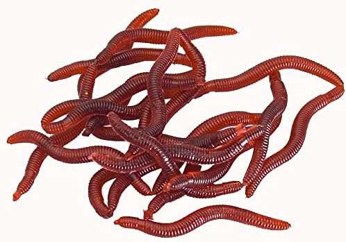 BeeSpring 100PCS Worms Soft Fishing Lure Baits by BeeSpring