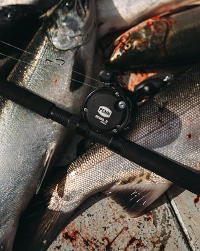 PENN Rival Level Wind Conventional Fishing Reel - Image 7
