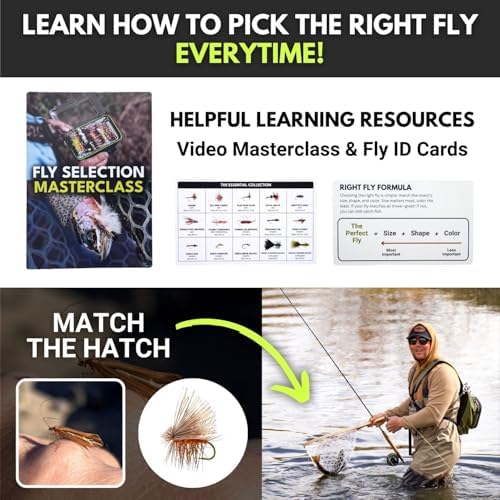 Ventures Fly Co. | 40 Premium Hand Tied Fly Fishing Flies Assortment | Fly Box Included | Dry, Wet, Nymphs, Streamers, Wooly Buggers, Terrestrials | Trout, Bass Lure Set, Kit - Image 6