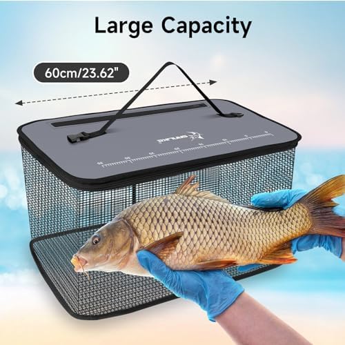 SANLIKE Floating Collapsible Fish Basket Live Minnow Storage Cage - Image 4