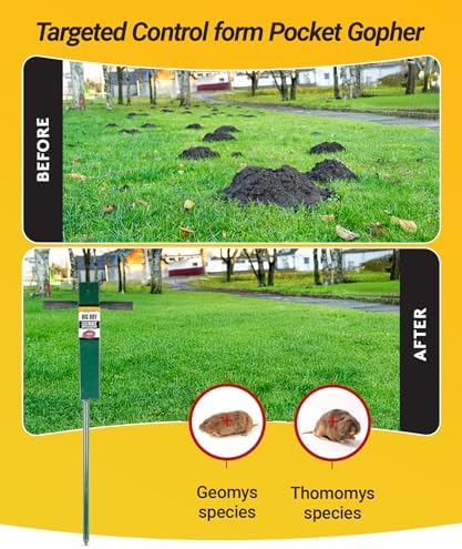 Kaput Big Boy Gopher Probe, 37 Inch - Durable Steel Bait Applicator Tool for Risk-Free & Easy Gopher Control - Heavy Duty Soil Probe & Targeted Rodent Elimination - No Digging Needed - Image 6